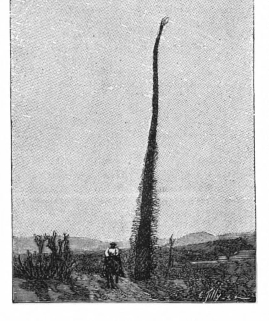 An illustration from Scientific American, Vol. 75, No. 1 (July 1896), 1896, leaf 10
