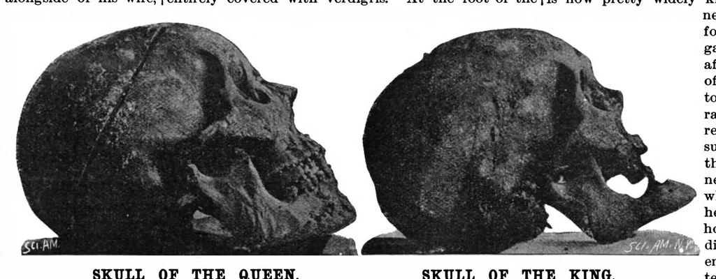 An illustration from Scientific American, Vol. 75, No. 7 (August 1896), 1896, leaf 10