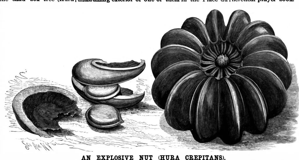 An illustration from Scientific American, Vol. 75, No. 19 (November 1896), 1896, leaf 7