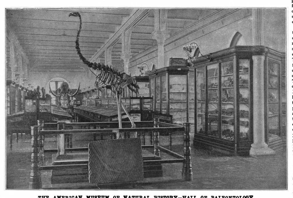An illustration from Scientific American, Vol. 75, No. 25 (December 1896), 1896, leaf 4
