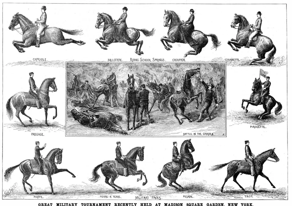 An illustration from Scientific American, Vol. 76, No. 5 (January 1897), 1897, leaf 10