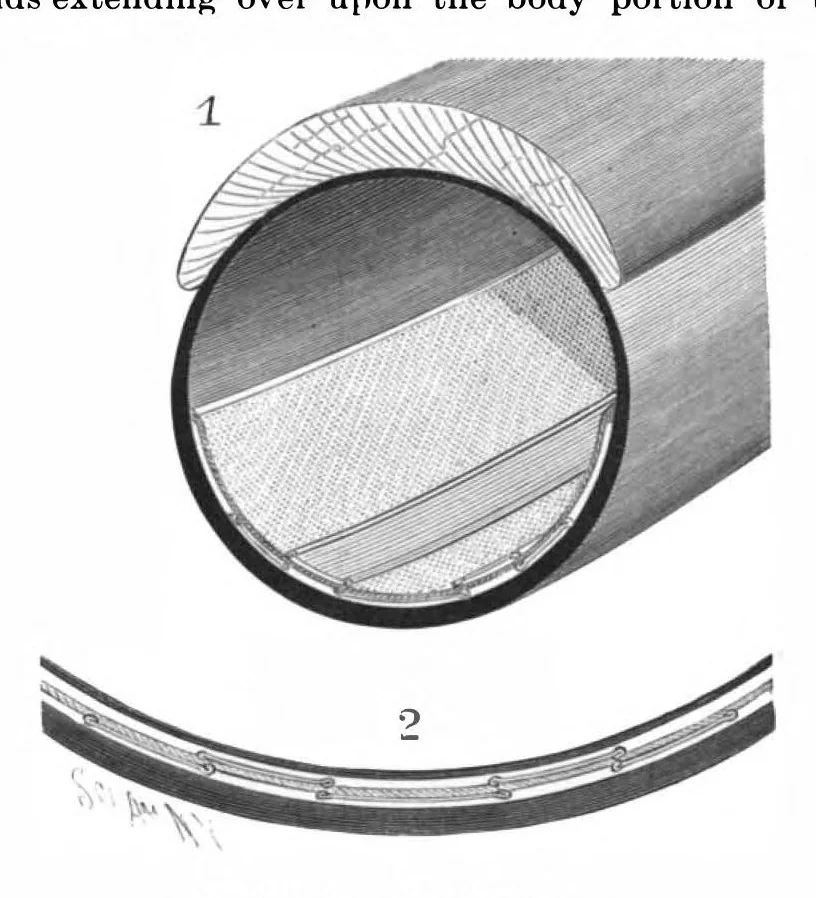 An illustration from Scientific American, Vol. 76, No. 6 (February 1897), 1897, leaf 4
