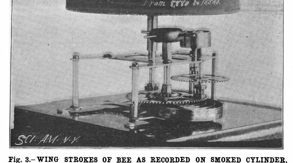 An illustration from Scientific American, Vol. 76, No. 12 (March 1897), 1897, leaf 10