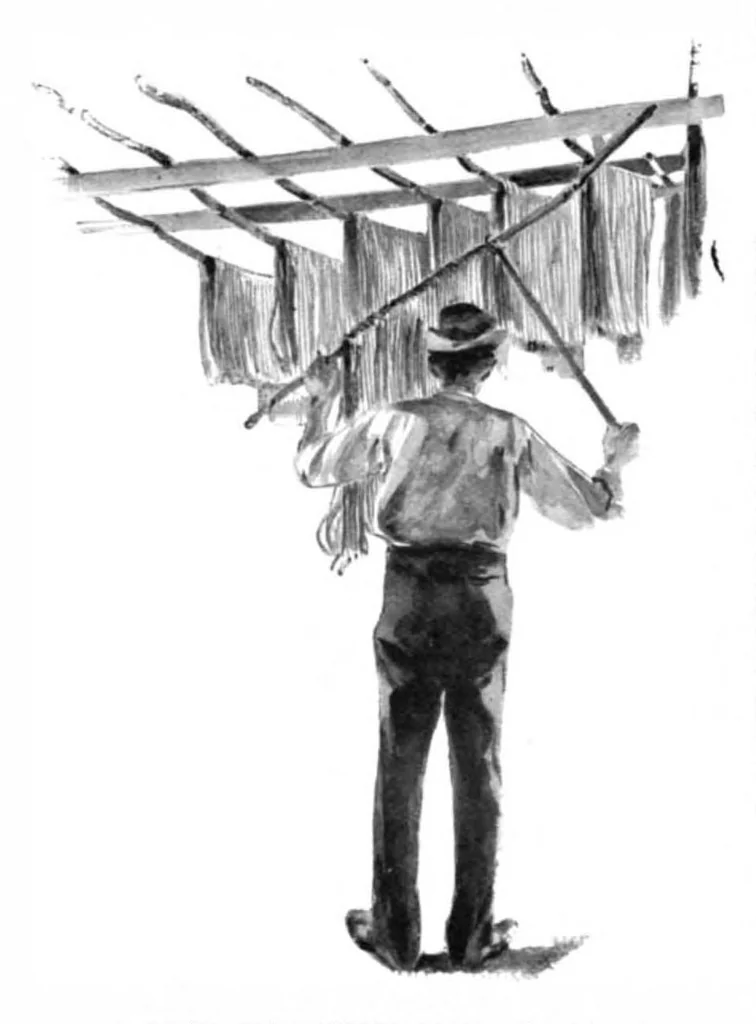 An illustration from Scientific American, Vol. 76, No. 22 (May 1897), 1897, leaf 4