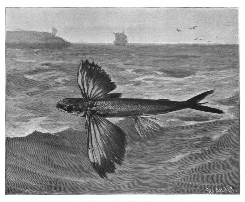 An illustration from Scientific American, Vol. 77, No. 4 (July 1897), 1897, leaf 10