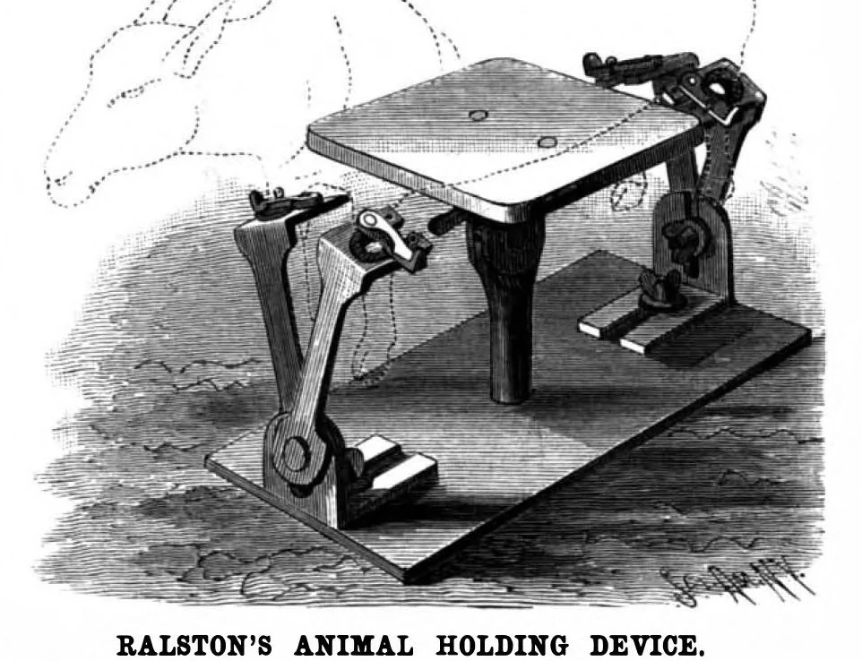 An illustration from Scientific American, Vol. 77, No. 13 (September 1897), 1897, leaf 3