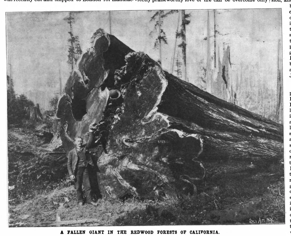 An illustration from Scientific American, Vol. 78, No. 2 (January 1898), 1898, leaf 7