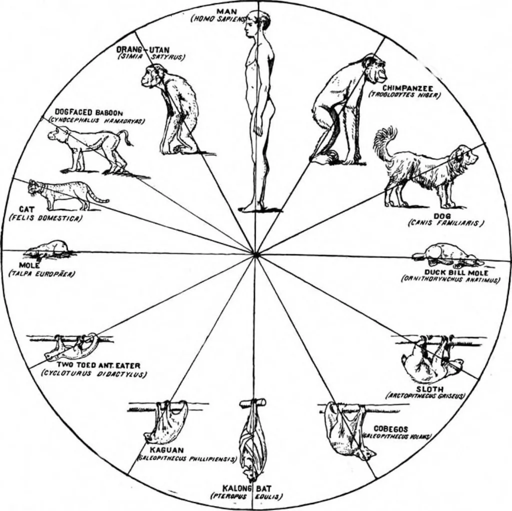 An illustration from Scientific American, Vol. 78, No. 7 (February 1898), 1898, leaf 10