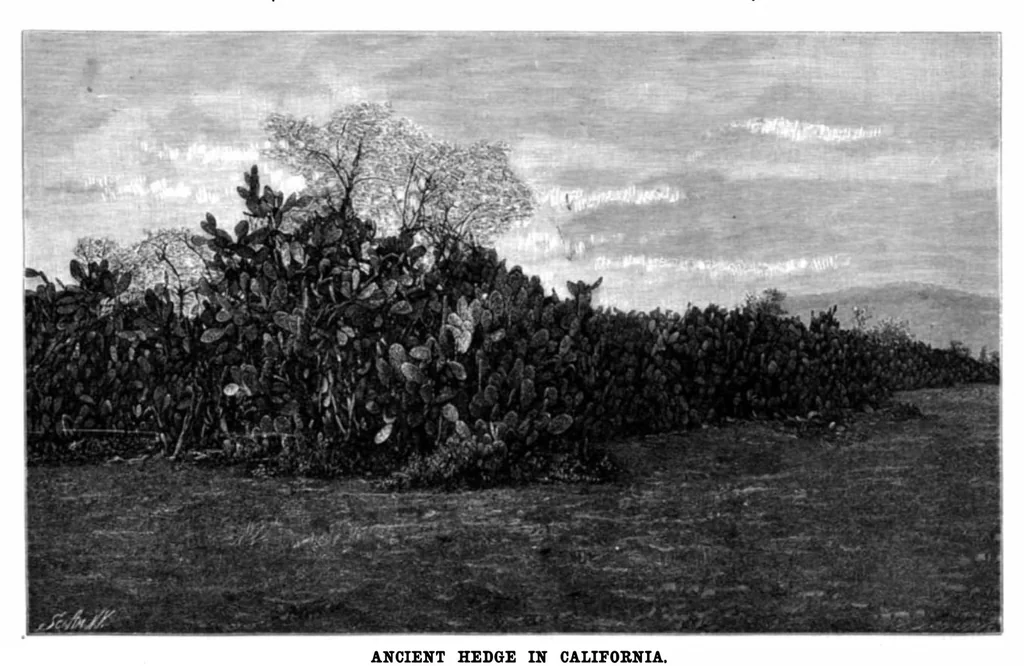 An illustration from Scientific American, Vol. 78, No. 19 (May 1898), 1898, leaf 4