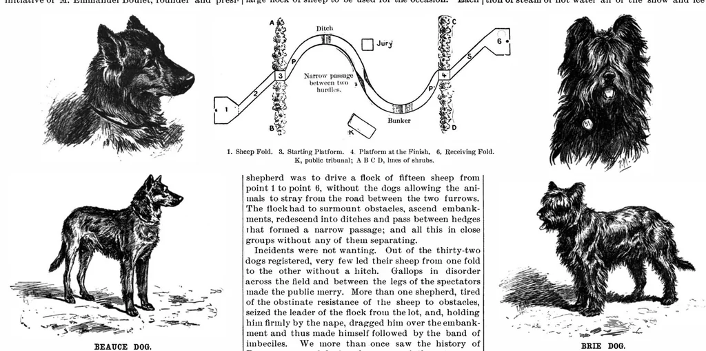 An illustration from Scientific American, Vol. 78, No. 19 (May 1898), 1898, leaf 8