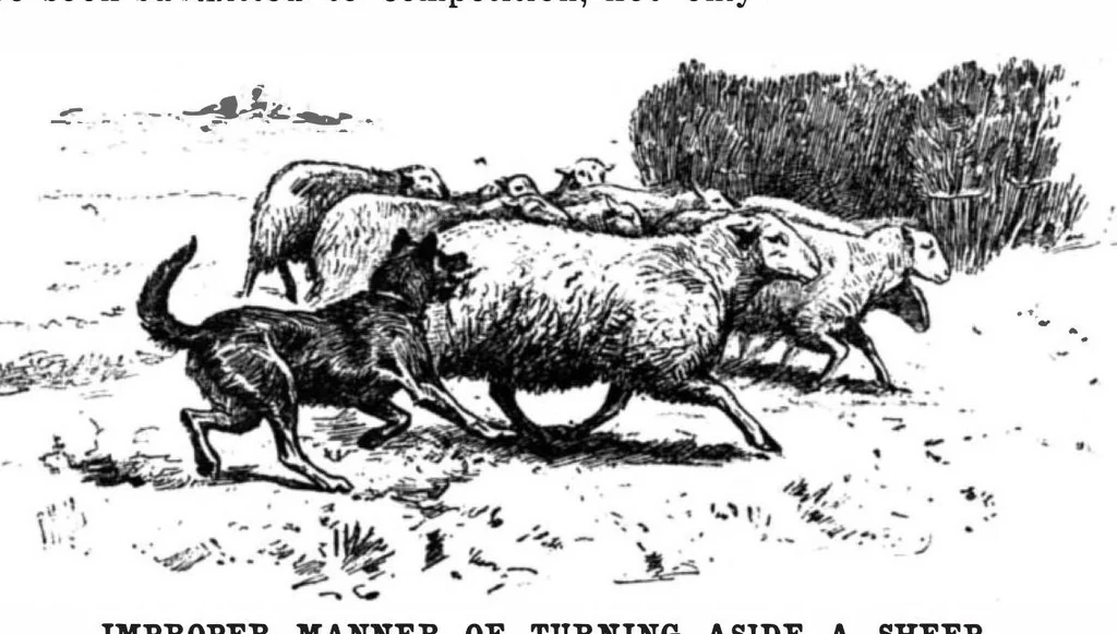 An illustration from Scientific American, Vol. 78, No. 19 (May 1898), 1898, leaf 8