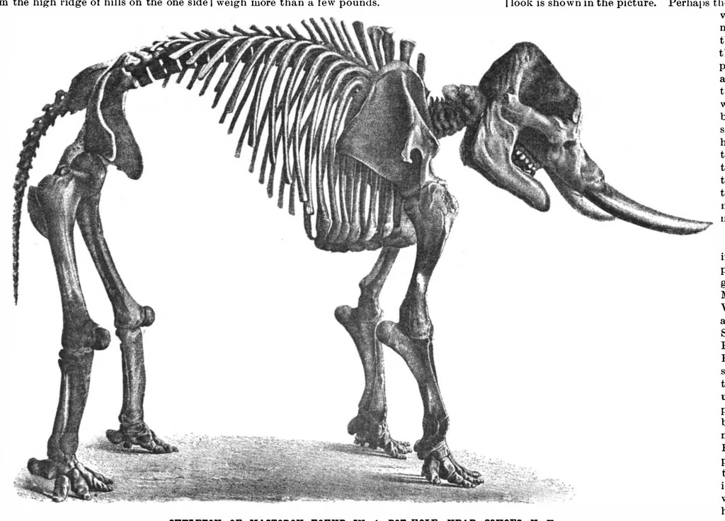 An illustration from Scientific American, Vol. 78, No. 24 (June 1898), 1898, leaf 10