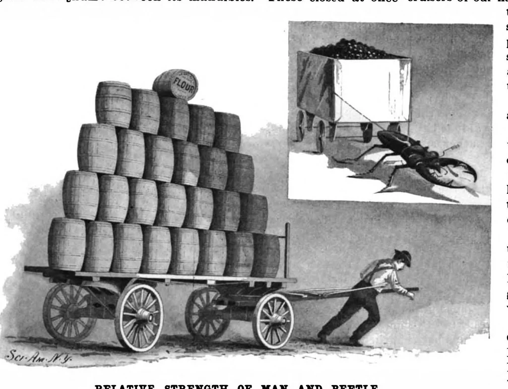 An illustration from Scientific American, Vol. 79, No. 3 (July 1898), 1898, leaf 7
