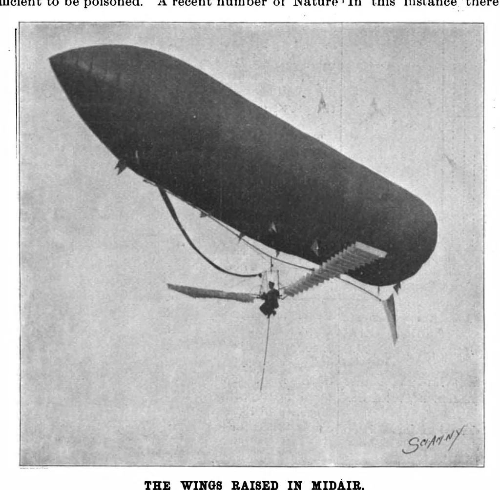 An illustration from Scientific American, Vol. 79, No. 27 (December 1898), 1898, leaf 7