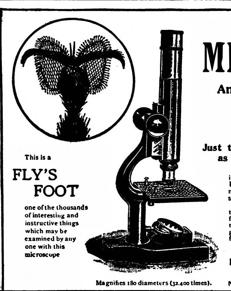 An illustration from Scientific American, Vol. 80, No. 2 (January 1899), 1899, leaf 15