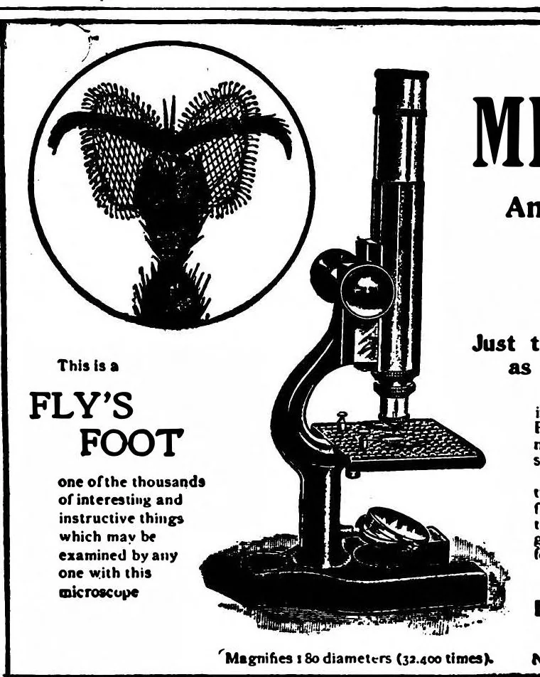 An illustration from Scientific American, Vol. 80, No. 5 (February 1899), 1899, leaf 15