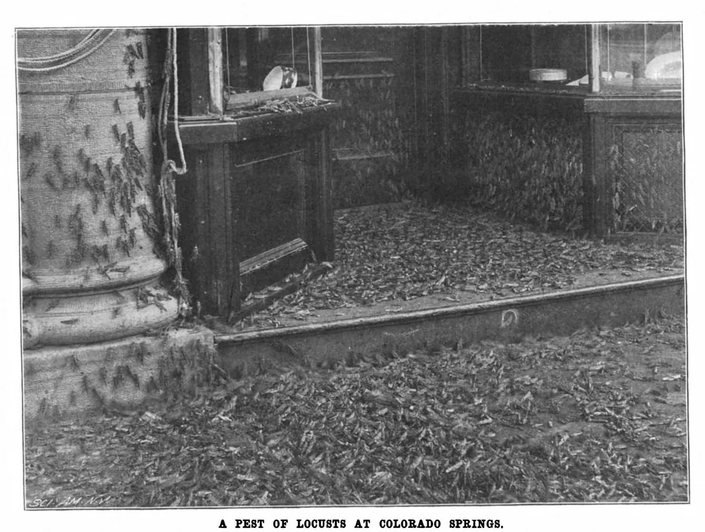 An illustration from Scientific American, Vol. 80, No. 13 (April 1899), 1899, leaf 3