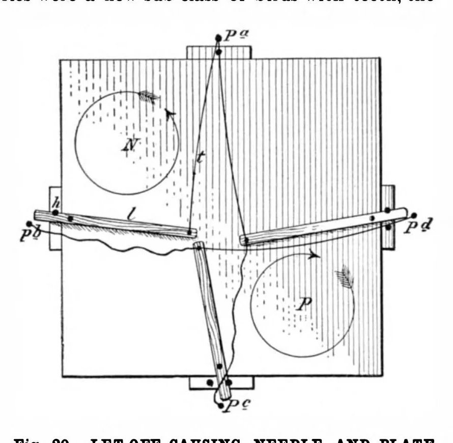 An illustration from Scientific American, Vol. 80, No. 13 (April 1899), 1899, leaf 8