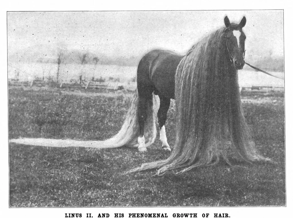 An illustration from Scientific American, Vol. 80, No. 20 (May 1899), 1899, leaf 10