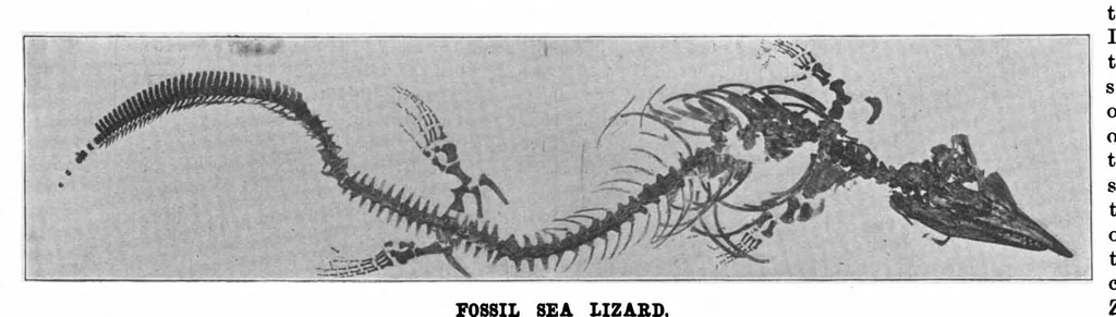 An illustration from Scientific American, Vol. 81, No. 1 (July 1899), 1899, leaf 5