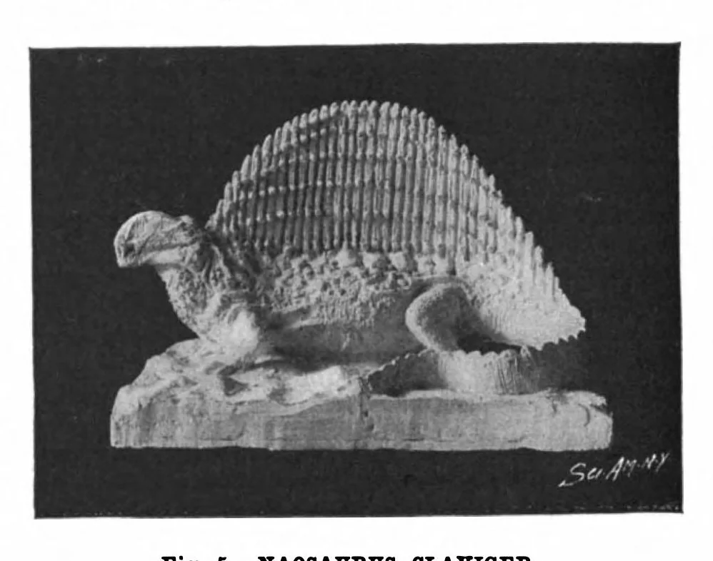 An illustration from Scientific American, Vol. 81, No. 2 (July 1899), 1899, leaf 4