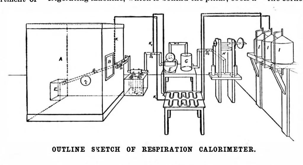 An illustration from Scientific American, Vol. 81, No. 6 (August 1899), 1899, leaf 4