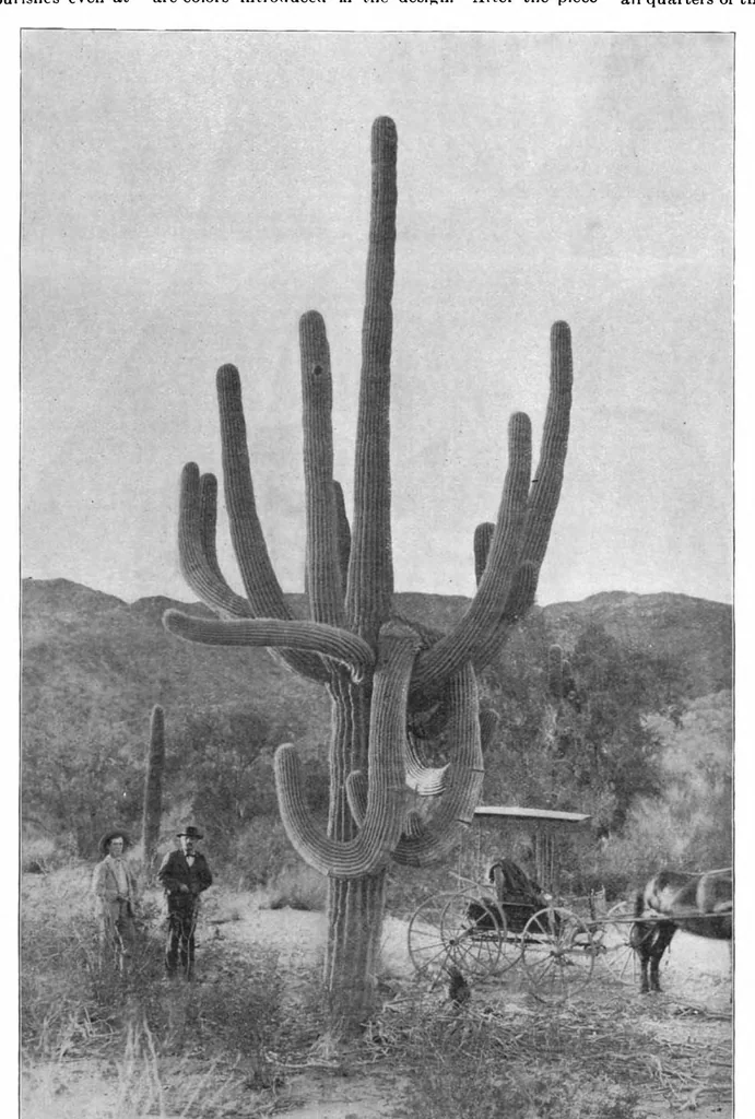 An illustration from Scientific American, Vol. 81, No. 18 (October 1899), 1899, leaf 10
