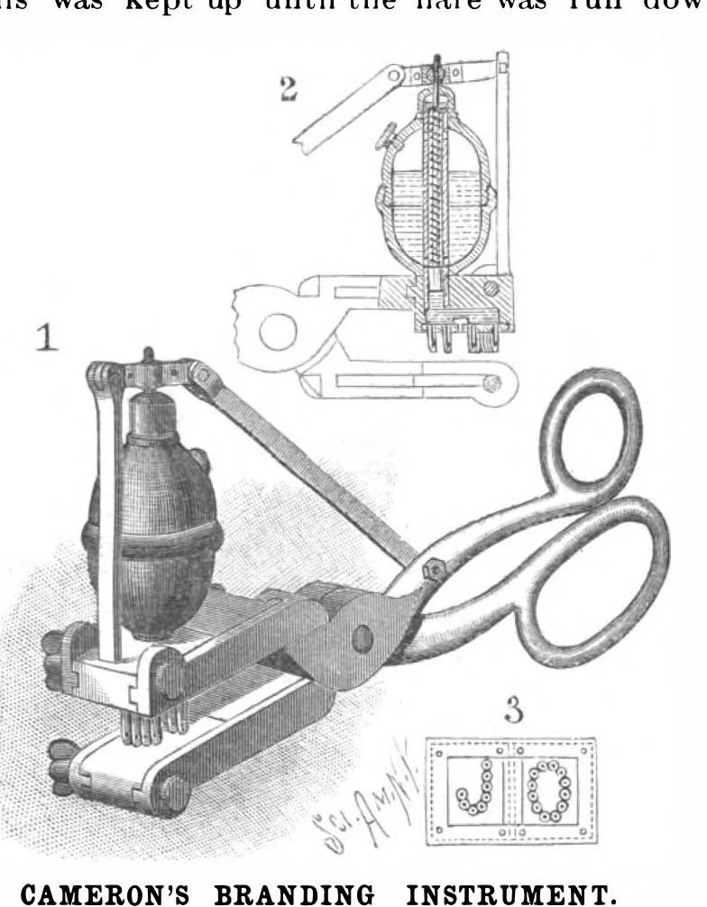 An illustration from Scientific American, Vol. 81, No. 22 (November 1899), 1899, leaf 10