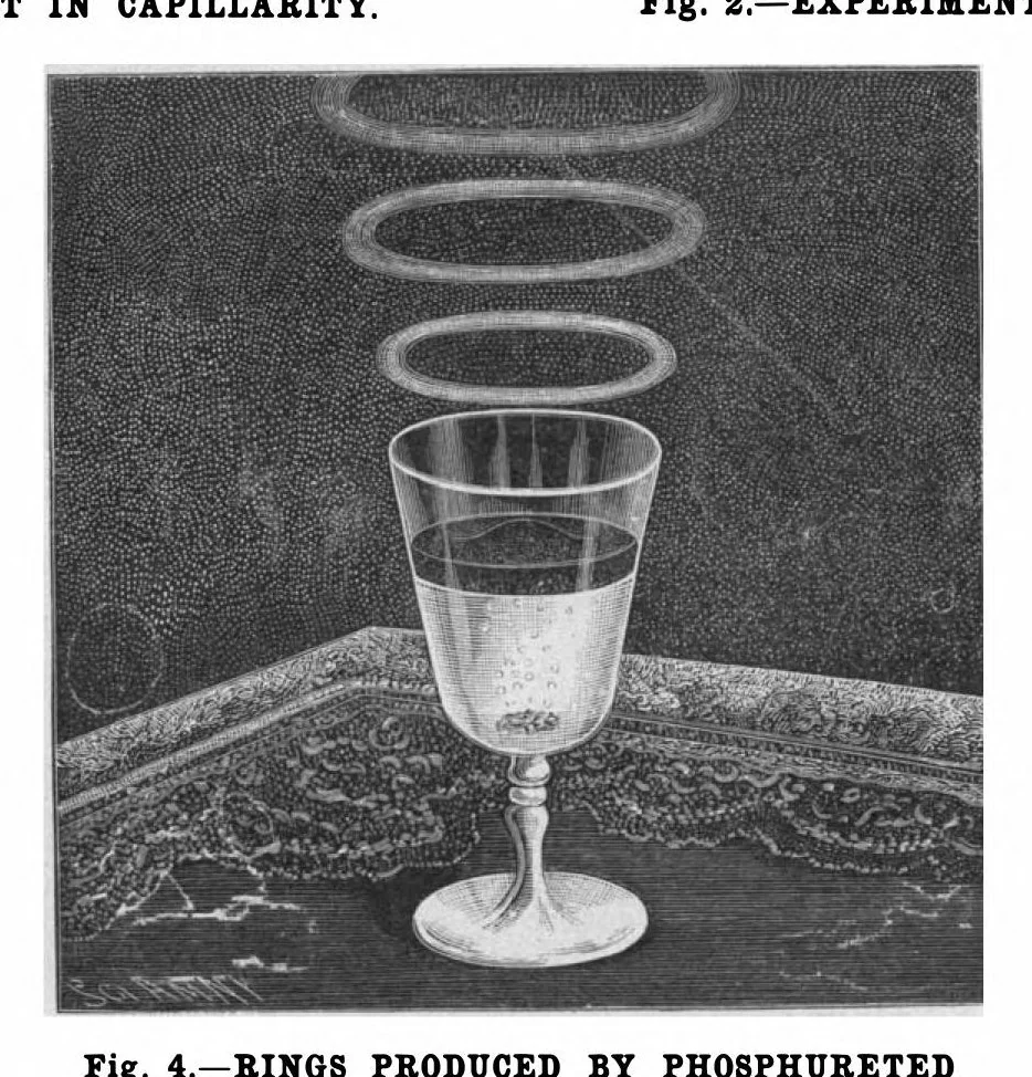 An illustration from Scientific American, Vol. 81, No. 23 (December 1899), 1899, leaf 7