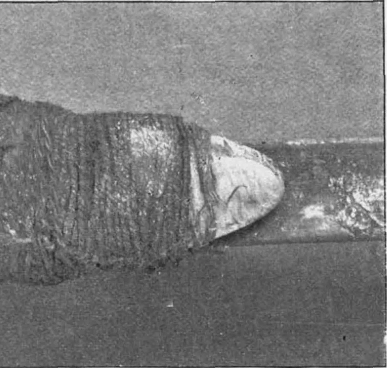 An illustration from Scientific American, Vol. 81, No. 27 (December 1899), 1899, leaf 8