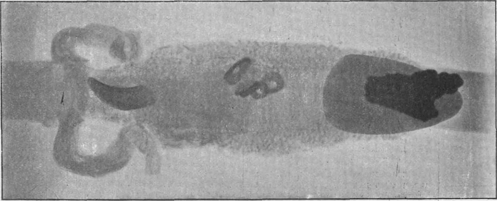 An illustration from Scientific American, Vol. 81, No. 27 (December 1899), 1899, leaf 8