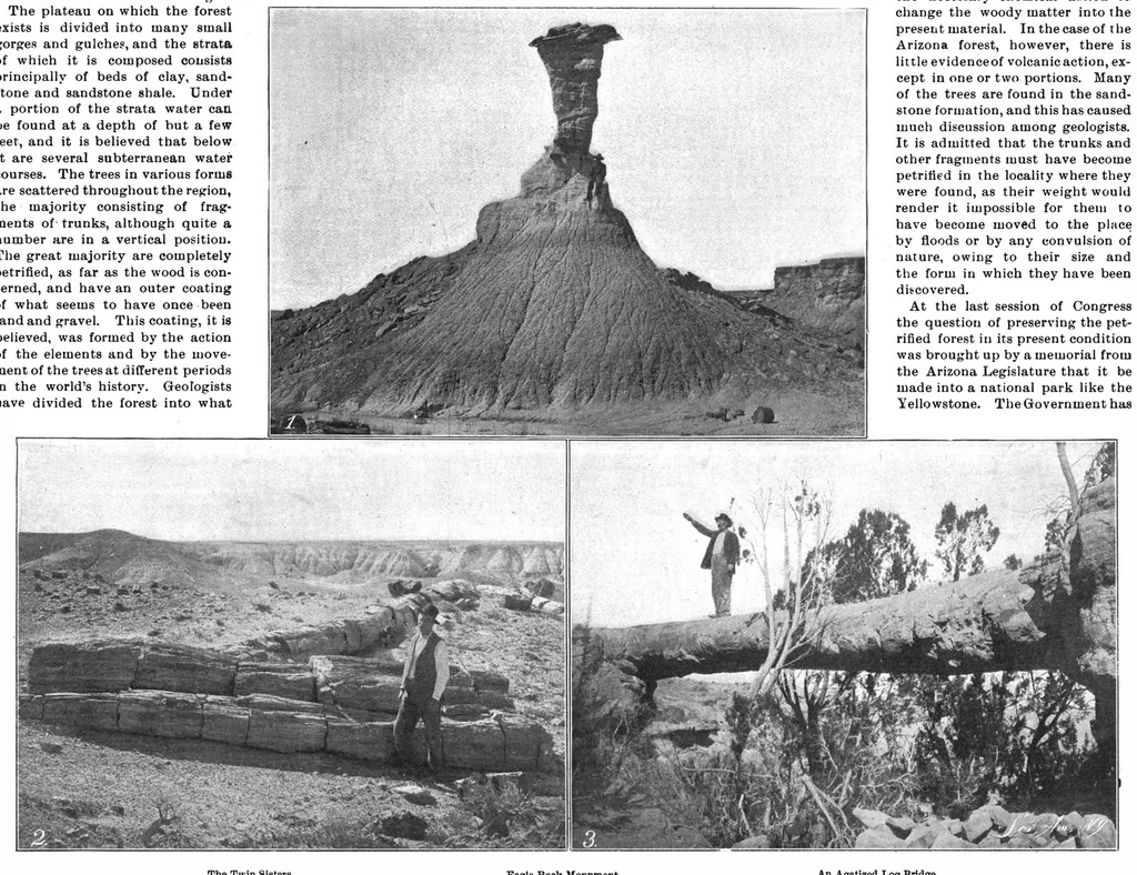 An illustration from Scientific American, Vol. 83, No. 6 (August 1900), 1900, leaf 10