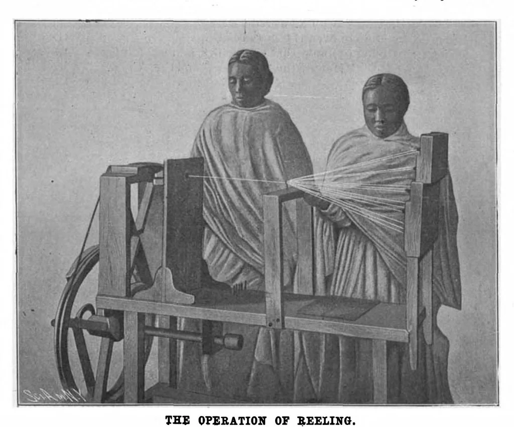 An illustration from Scientific American, Vol. 83, No. 9 (September 1900), 1900, leaf 4