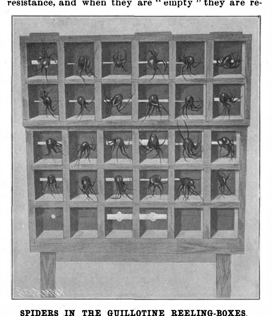 An illustration from Scientific American, Vol. 83, No. 9 (September 1900), 1900, leaf 4