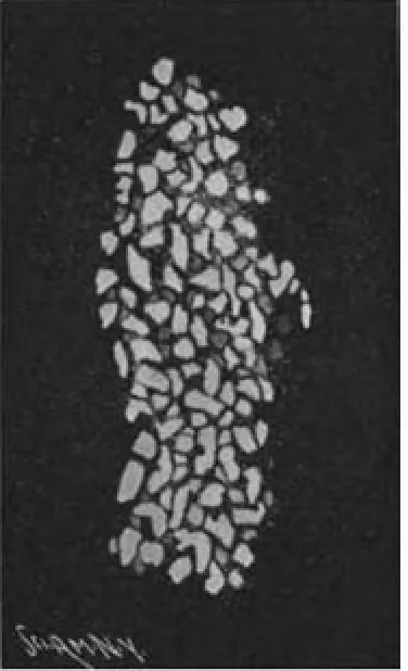 An illustration from Scientific American, Vol. 83, No. 16 (October 1900), 1900, leaf 9