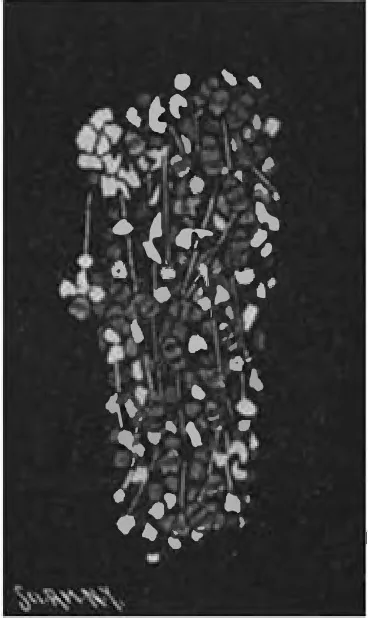 An illustration from Scientific American, Vol. 83, No. 16 (October 1900), 1900, leaf 9