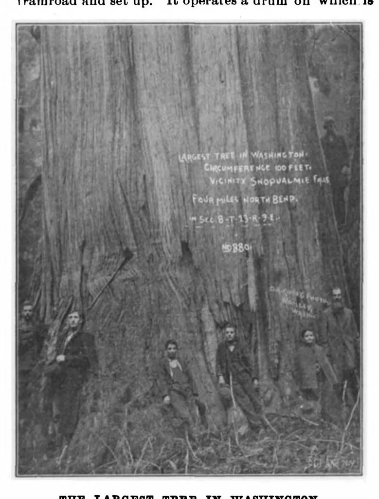 An illustration from Scientific American, Vol. 83, No. 26 (December 1900), 1900, leaf 8