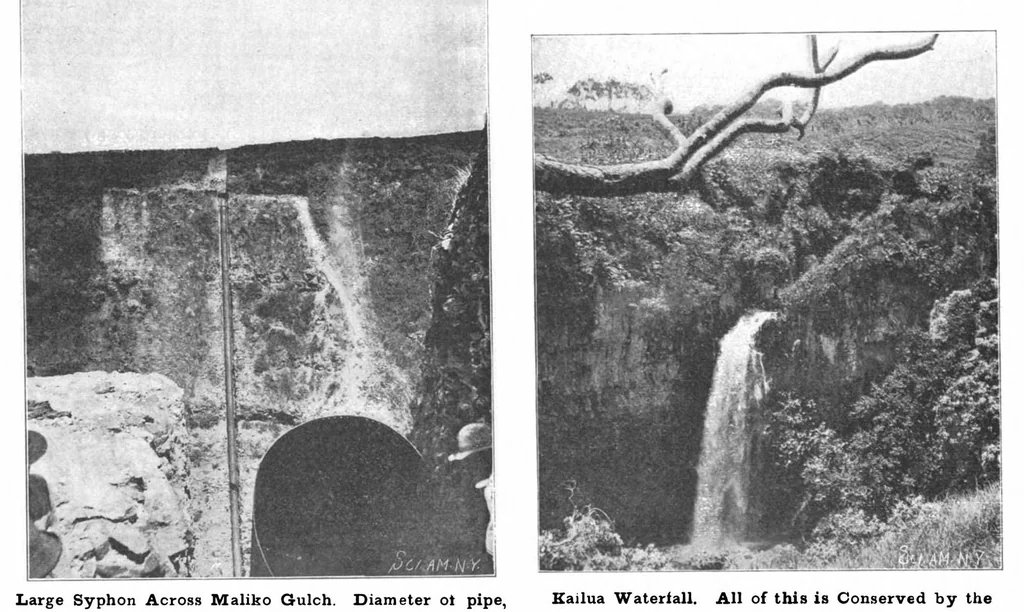An illustration from Scientific American, Vol. 84, No. 2 (January 1901), 1901, leaf 3