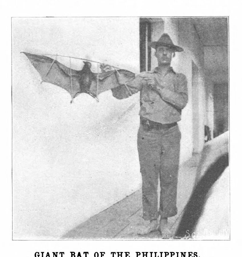 An illustration from Scientific American, Vol. 84, No. 3 (January 1901), 1901, leaf 2