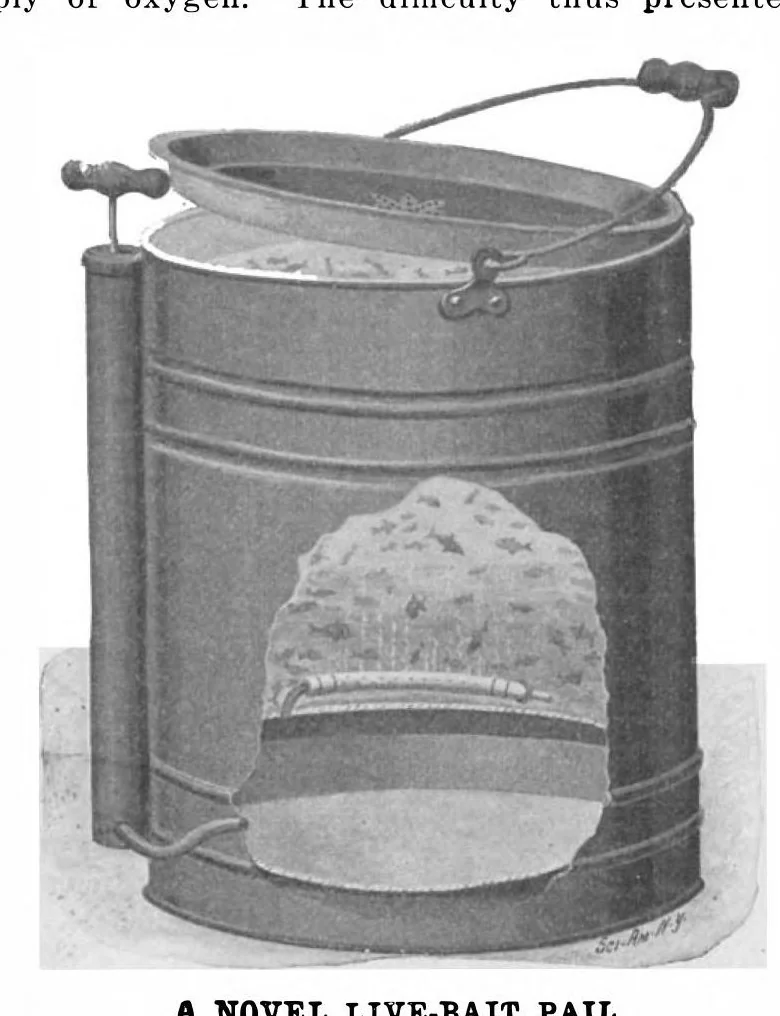 An illustration from Scientific American, Vol. 84, No. 10 (March 1901), 1901, leaf 9