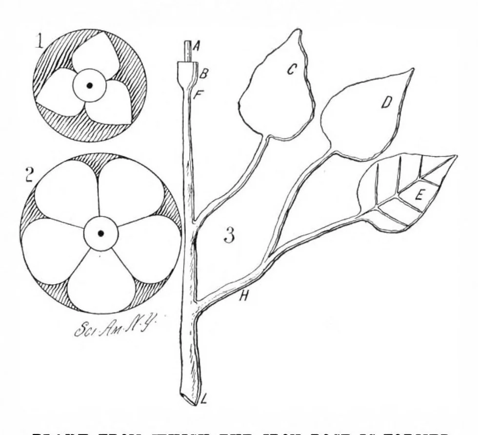 An illustration from Scientific American, Vol. 84, No. 19 (May 1901), 1901, leaf 7