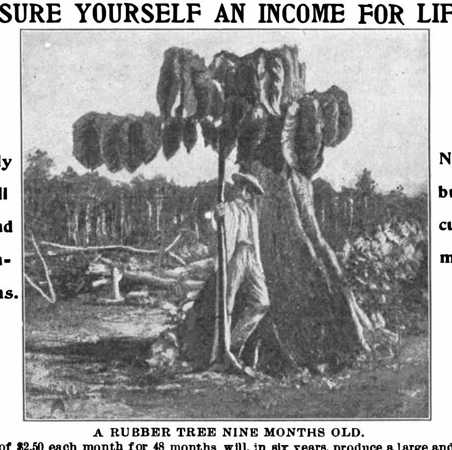 An illustration from Scientific American, Vol. 84, No. 20 (May 1901), 1901, leaf 13