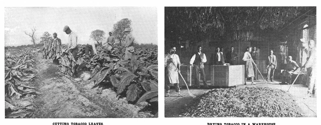 An illustration from Scientific American, Vol. 84, No. 20 (May 1901), 1901, leaf 4