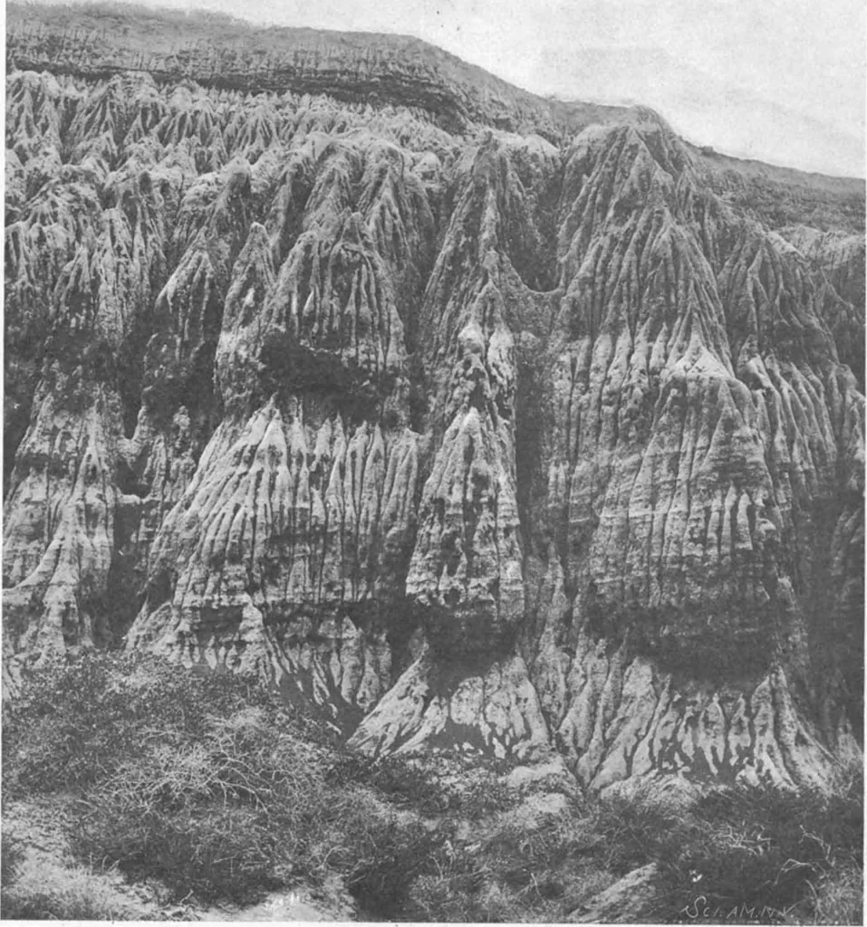 An illustration from Scientific American, Vol. 85, No. 1 (July 1901), 1901, leaf 9
