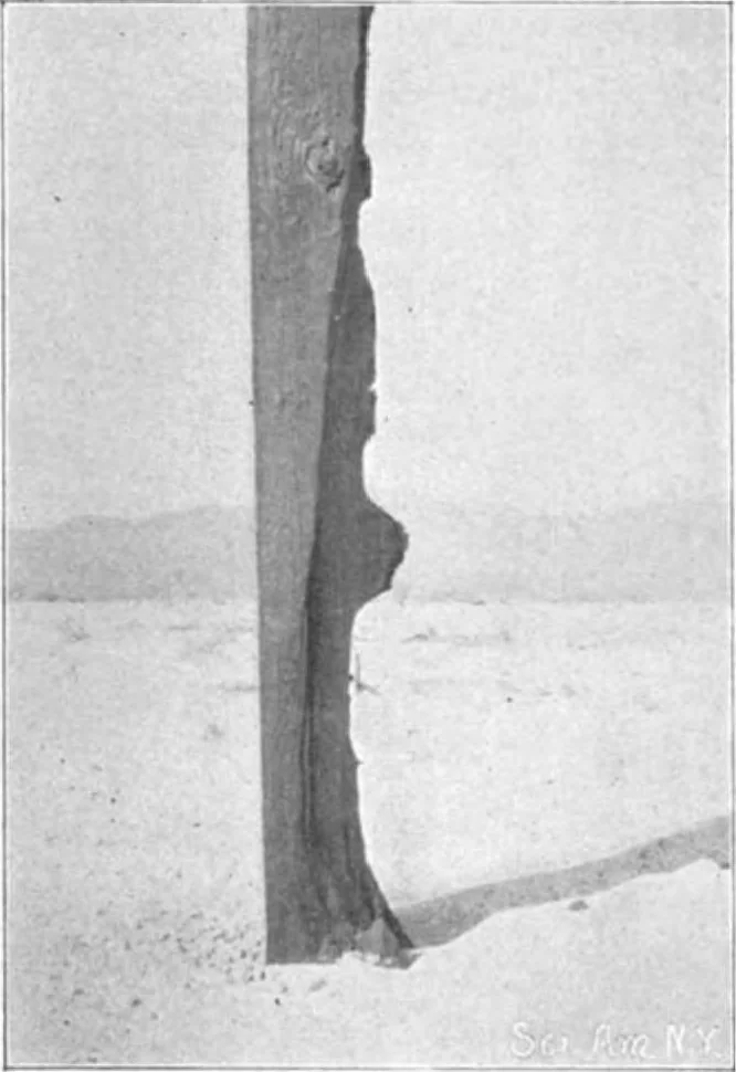 An illustration from Scientific American, Vol. 85, No. 4 (July 1901), 1901, leaf 9
