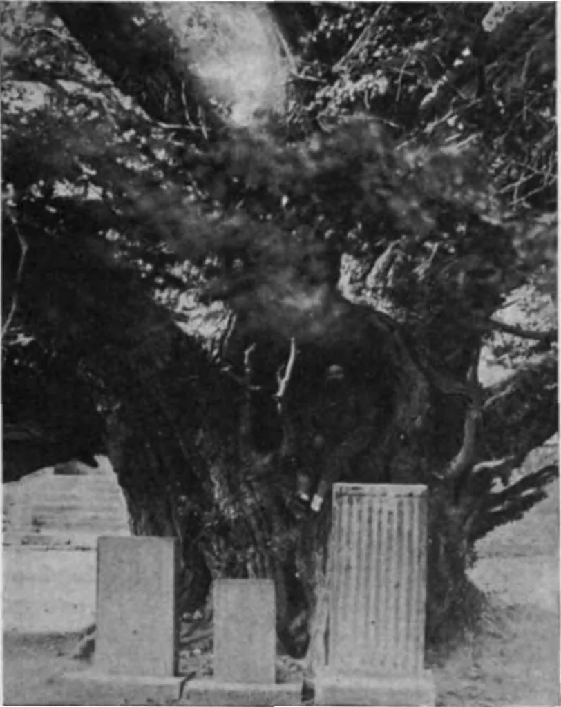 An illustration from Scientific American, Vol. 85, No. 5 (August 1901), 1901, leaf 8