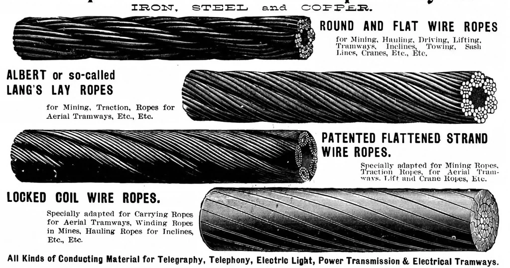 An illustration from Scientific American, Vol. 85, No. 9 (August 1901), 1901, leaf 14