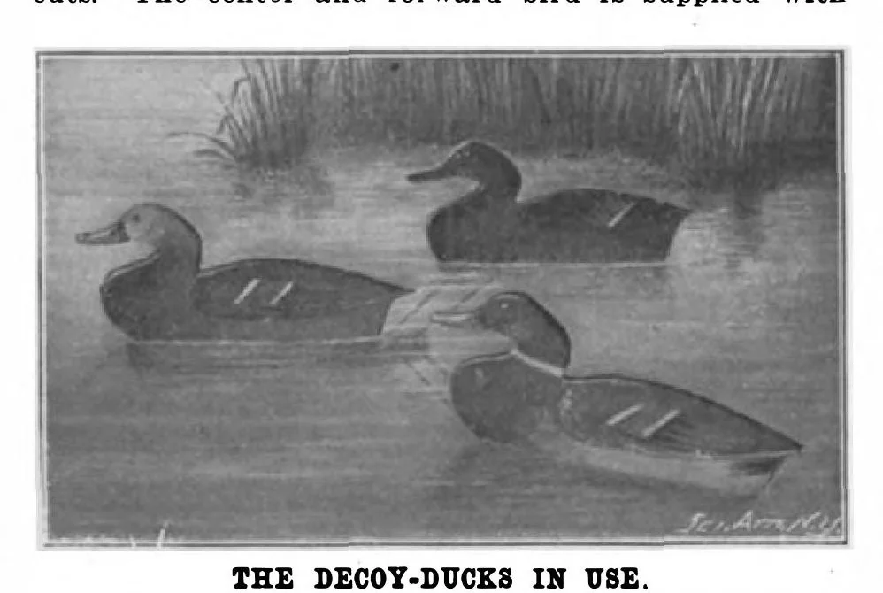 An illustration from Scientific American, Vol. 85, No. 26 (December 1901), 1901, leaf 10