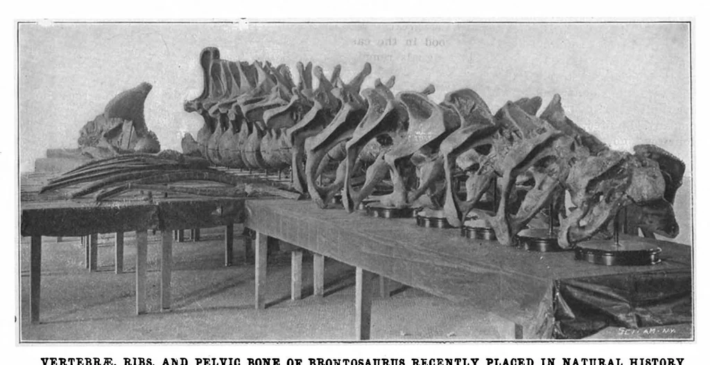 An illustration from Scientific American, Vol. 86, No. 1 (January 1902), 1902, leaf 6