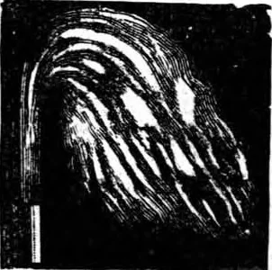 An illustration from Scientific American, Vol. 86, No. 2 (January 1902), 1902, leaf 13